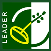 Icon Leader